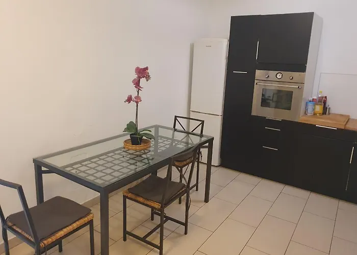 Apartment Spacious Near The Center